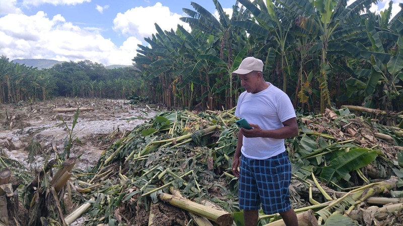 Crecidas de ríos arrasaron las plantaciones en Bahoruco